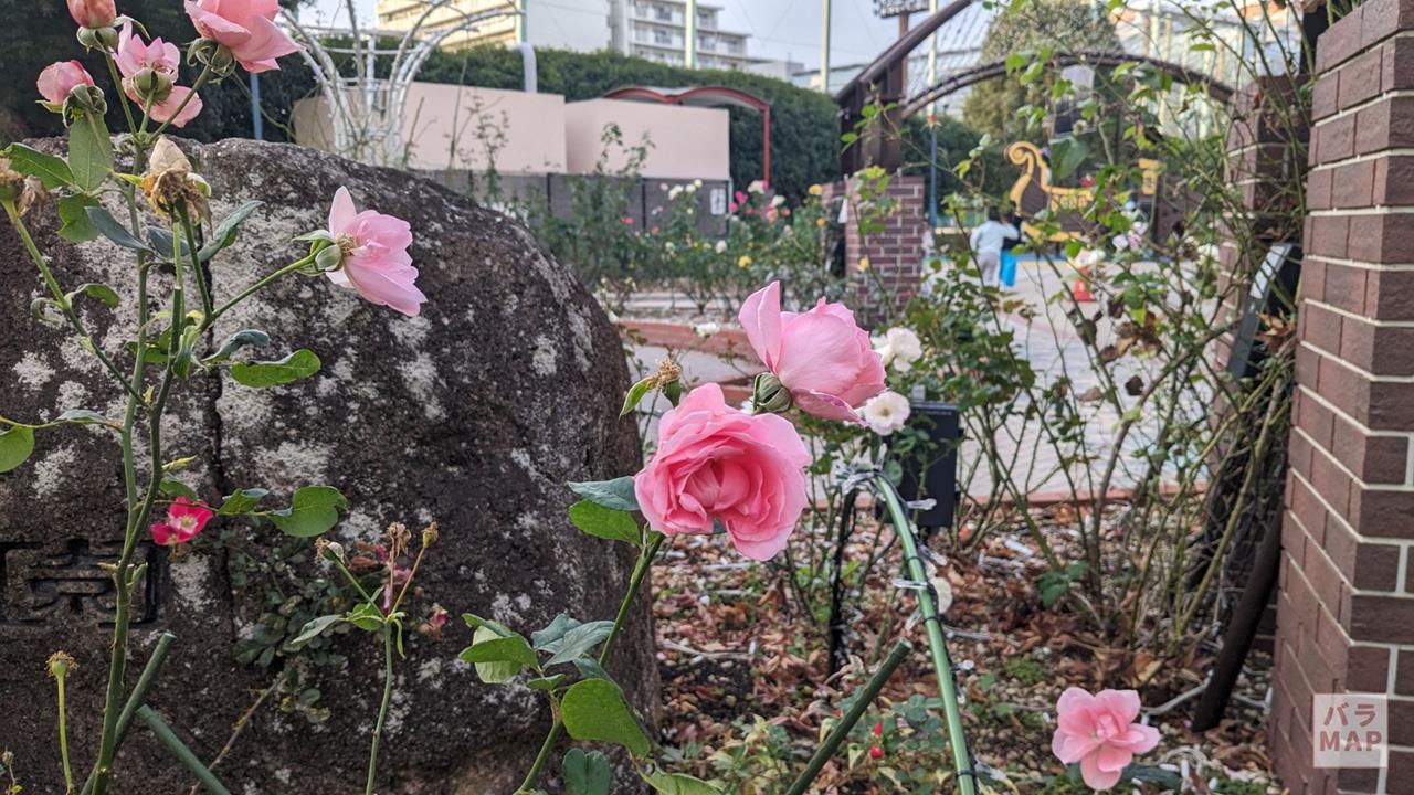 あらかわ遊園のブログ画像