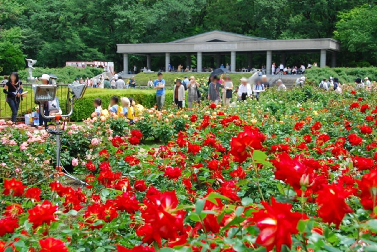 神代植物公園のブログ画像