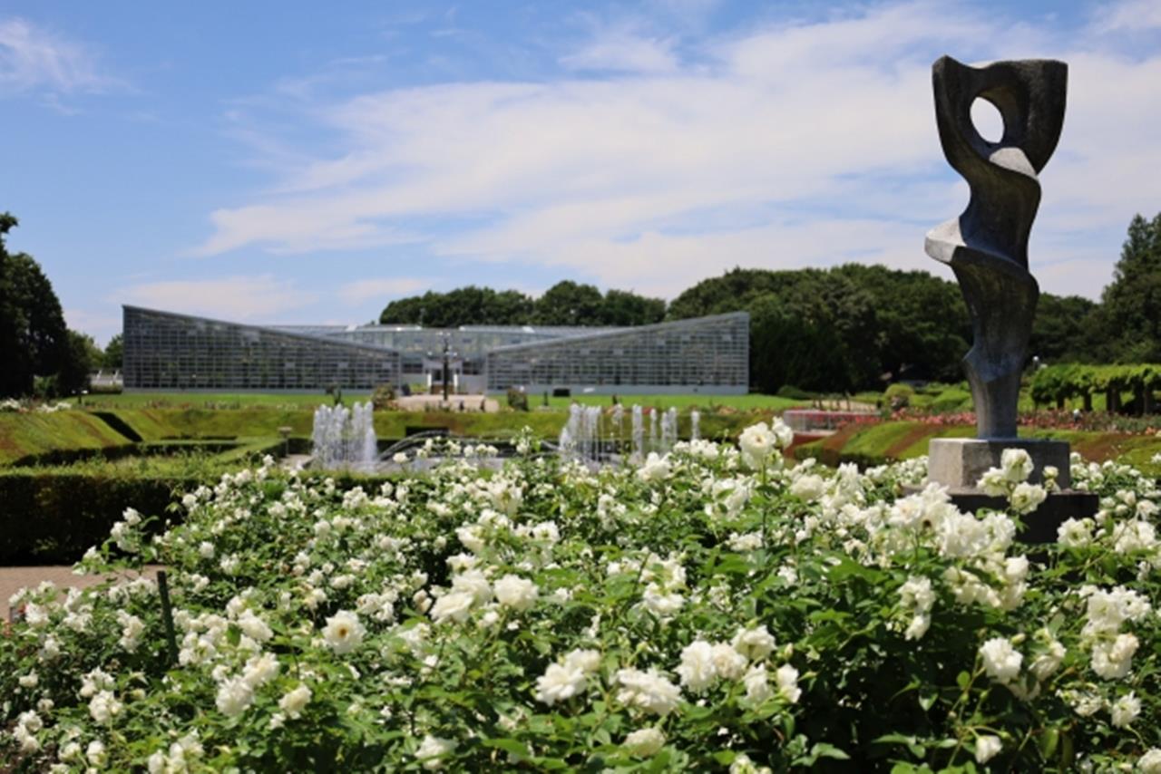 神代植物公園のブログ画像