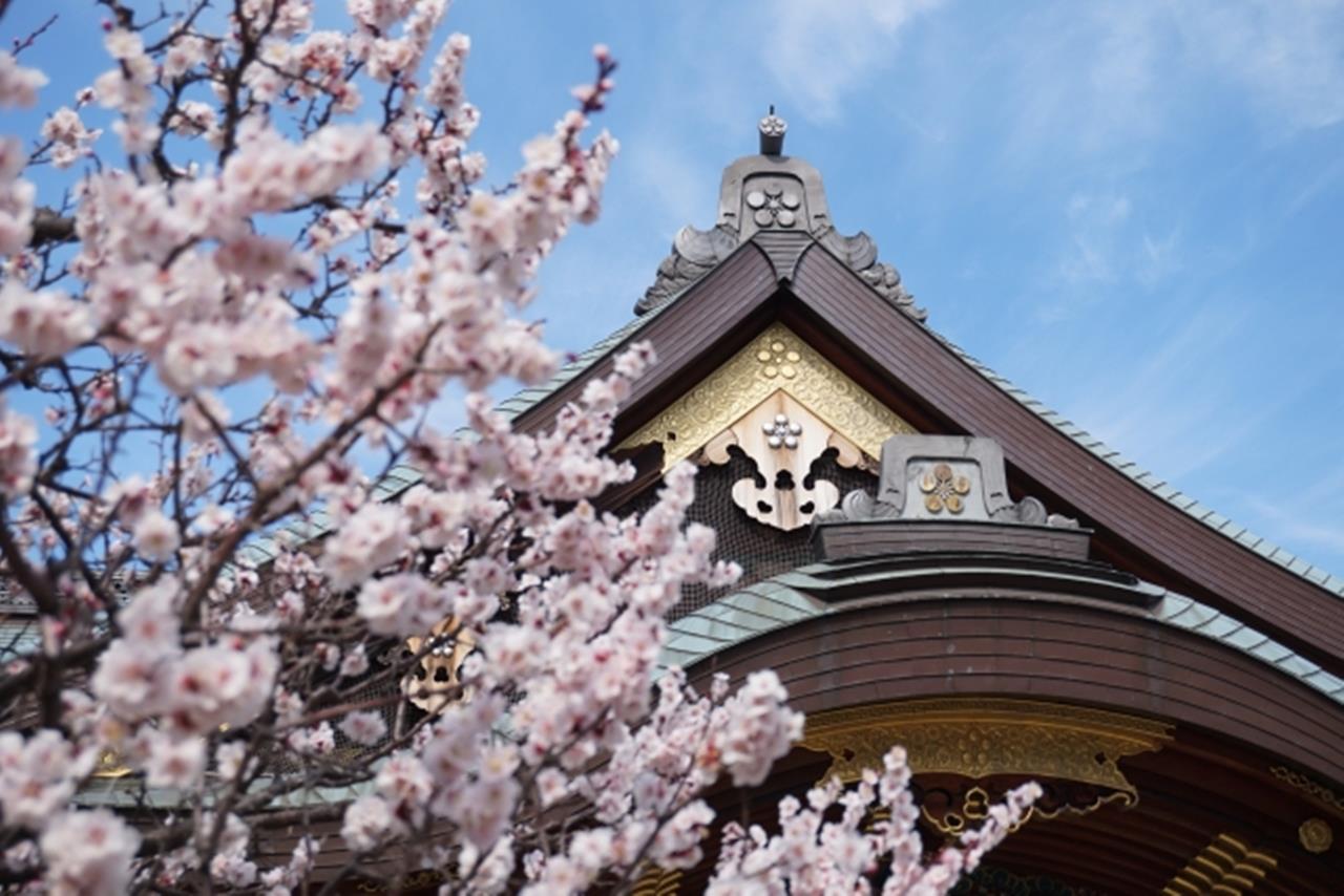 湯島天満宮の梅のブログ画像
