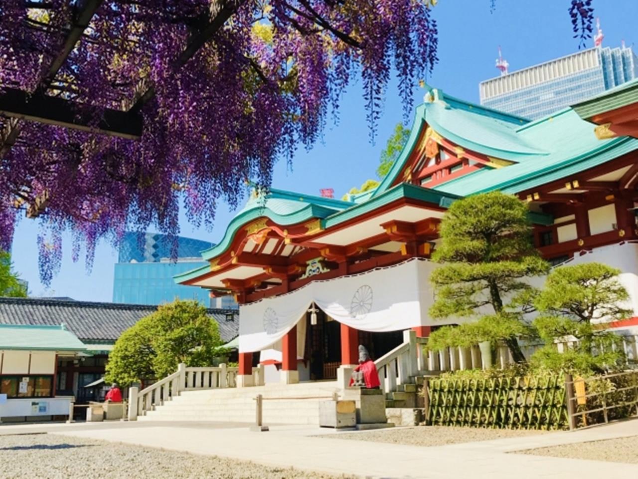 日枝神社の藤のブログ画像