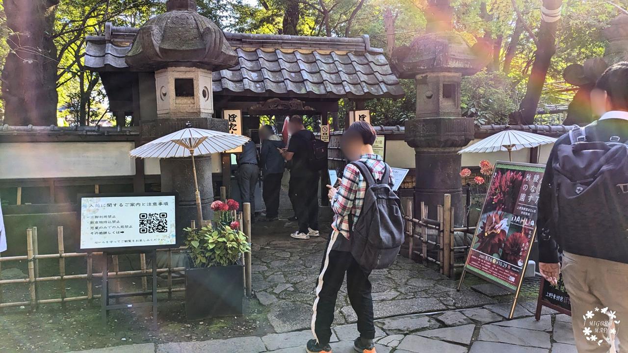 上野東照宮ぼたん苑 ダリア