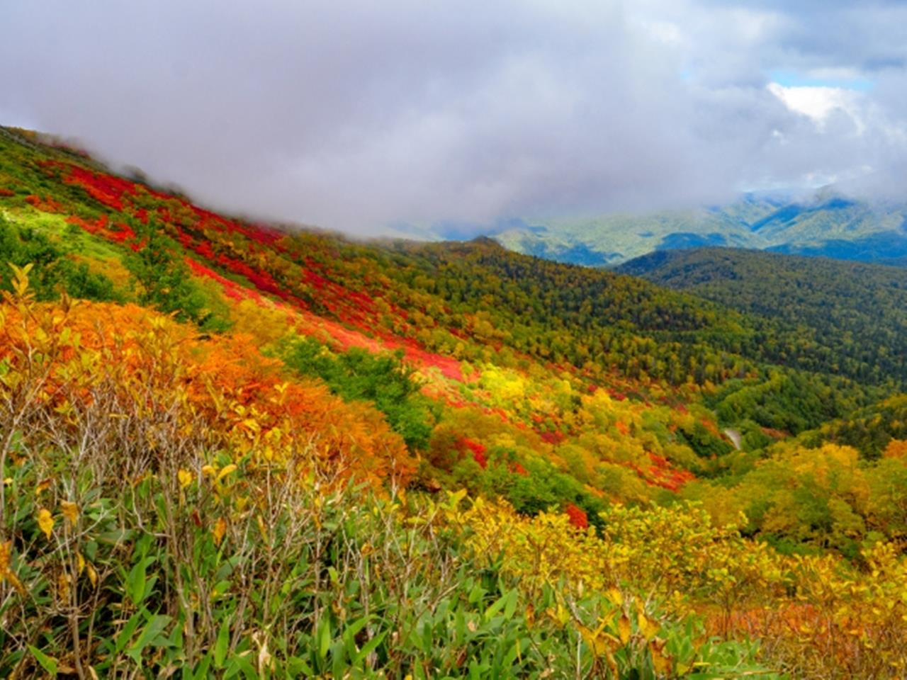 赤岳銀泉台 紅葉