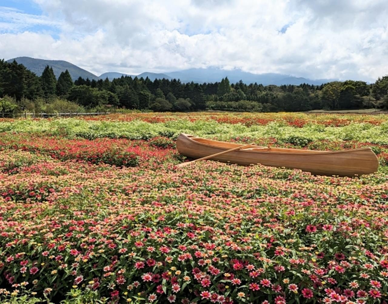 虹の花まつり 富士本栖湖リゾート