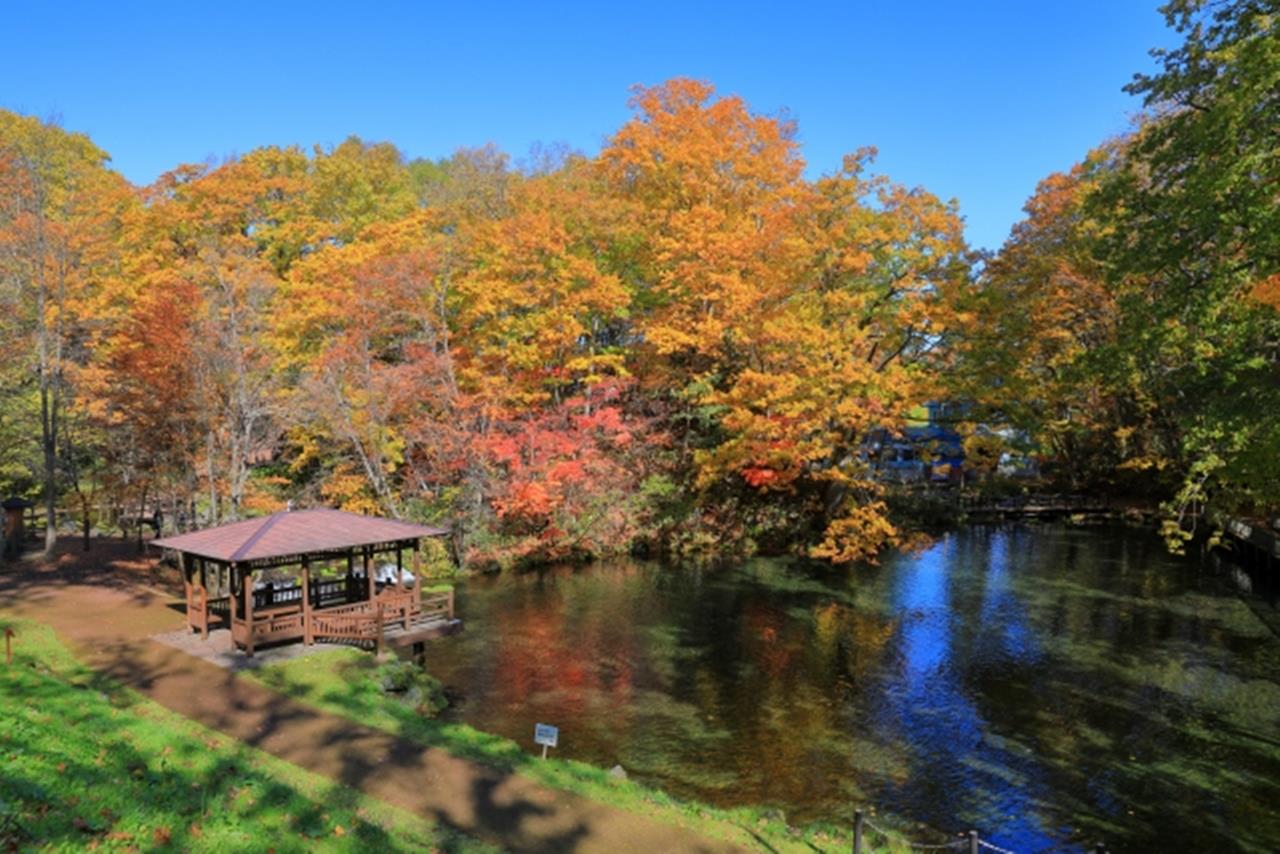 ふきだし公園 紅葉