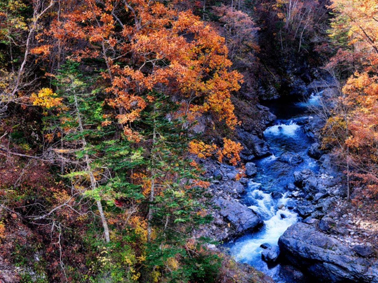 岩内仙峡 紅葉