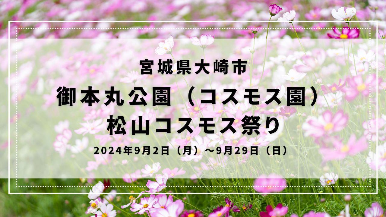 御本丸公園（コスモス園） 松山コスモス祭り