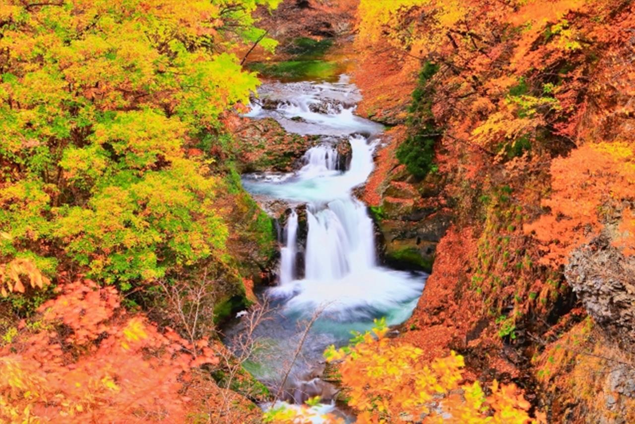 鳳鳴四十八滝 紅葉