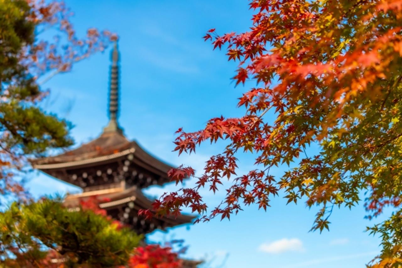 定義如来西方寺 紅葉