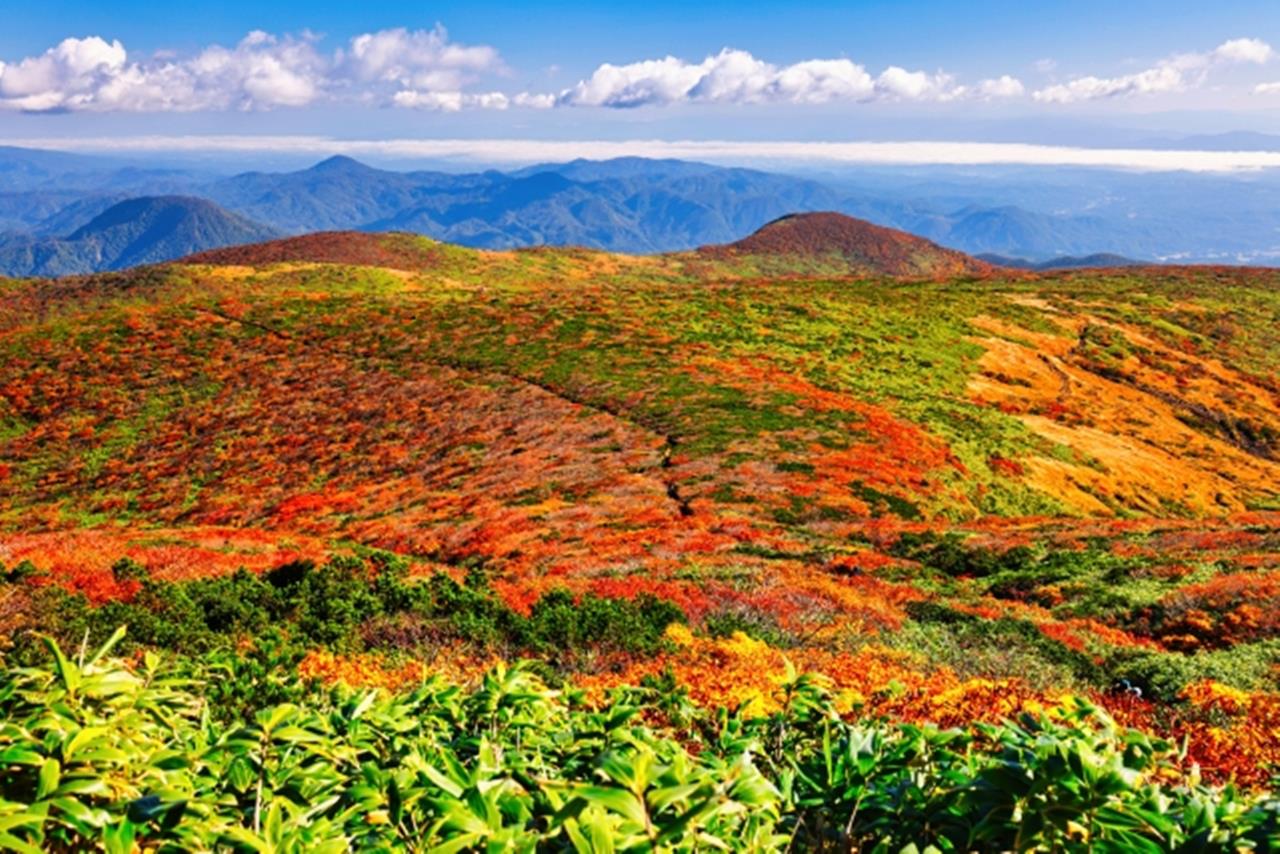 栗駒山 紅葉