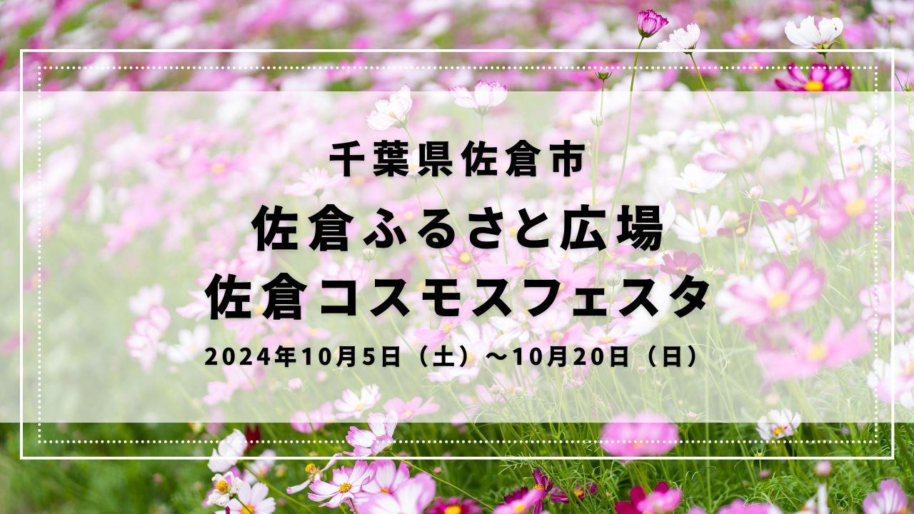 佐倉ふるさと広場 佐倉コスモスフェスタ