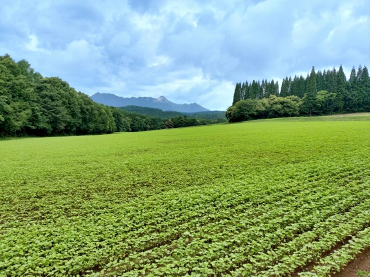 戸隠展望苑 そば