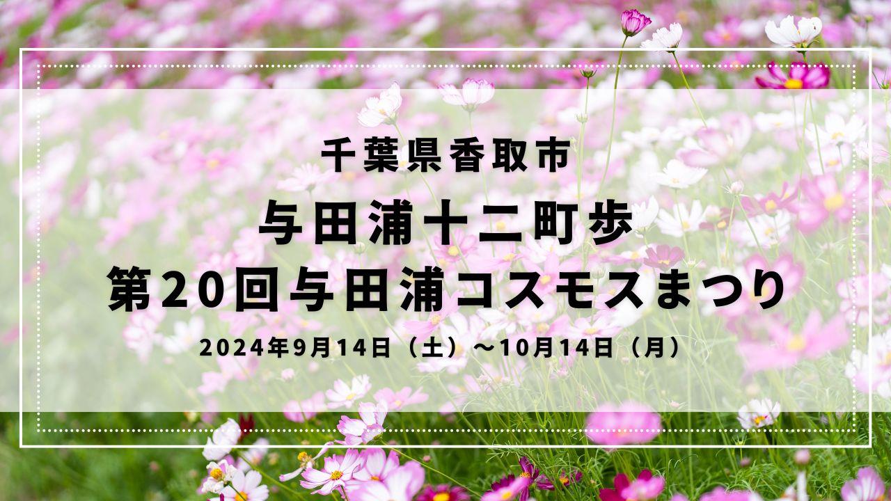 与田浦十二町歩 第20回与田浦コスモスまつり