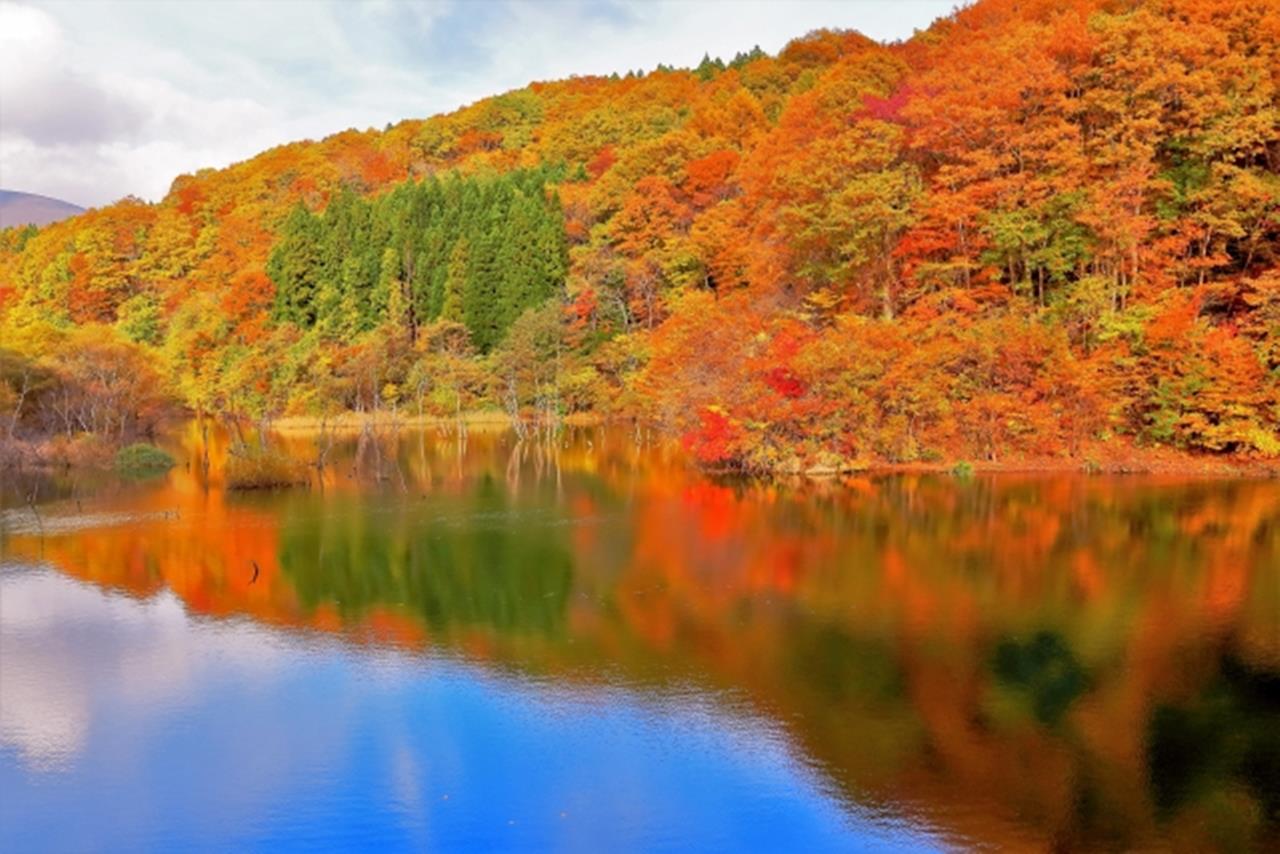 横川渓谷 紅葉