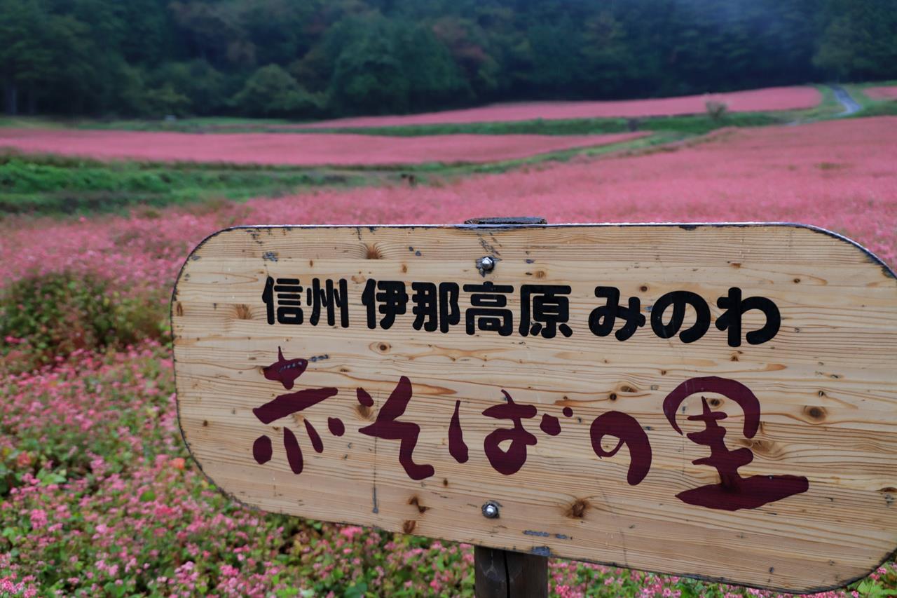 赤そばの里（長野県箕輪町）