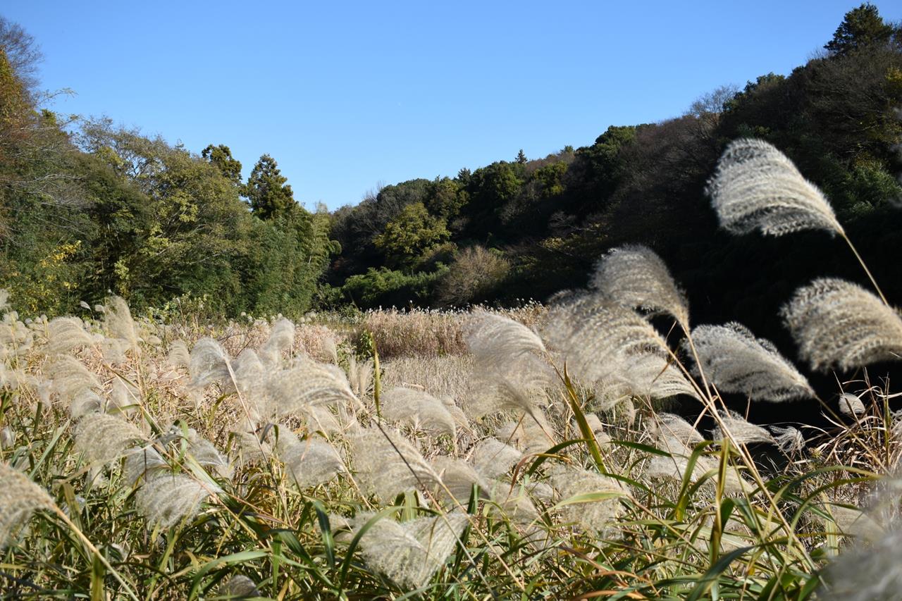 神奈川県立茅ケ崎里山公園