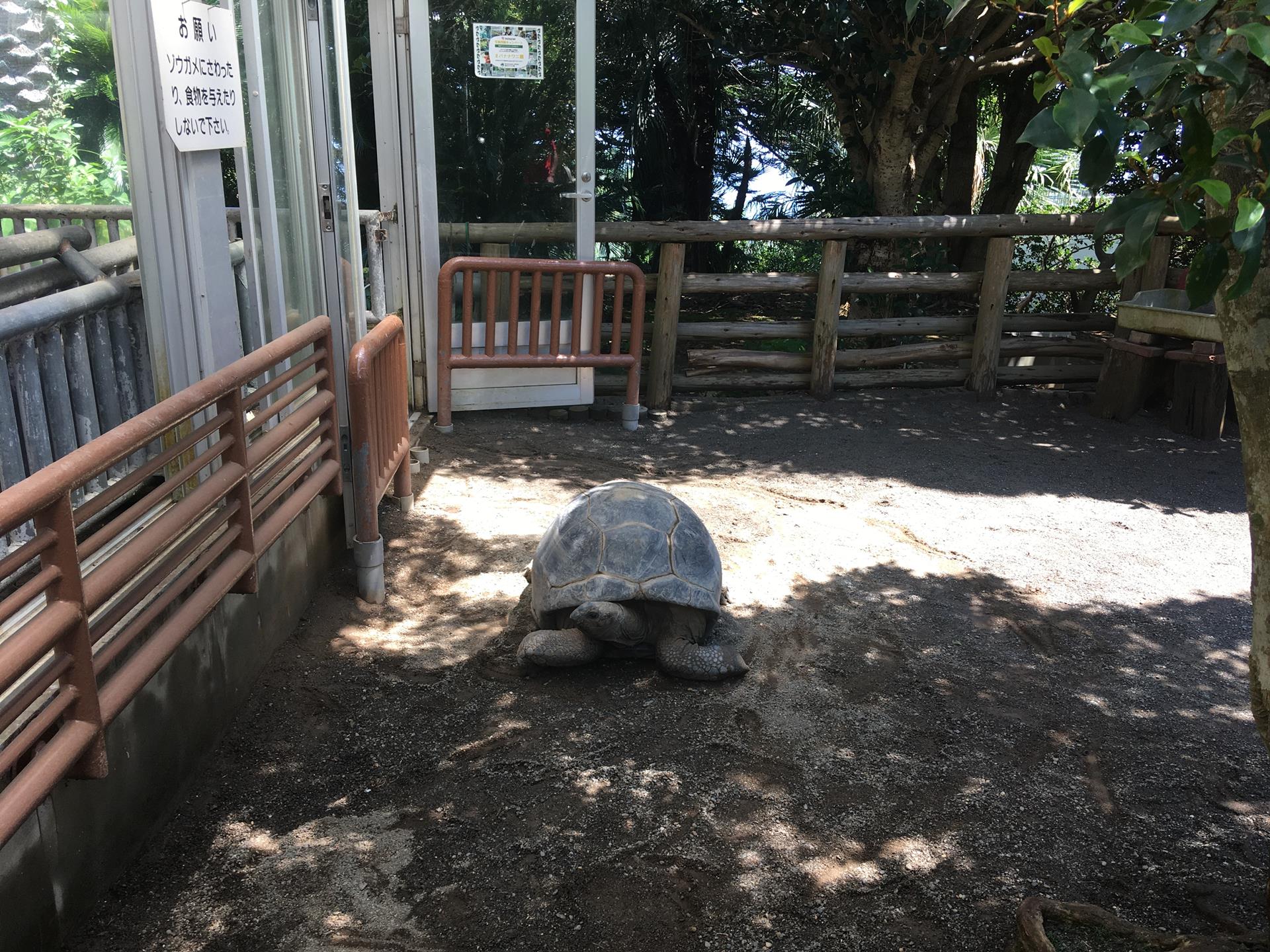 熱川バナナワニ園のブログ画像