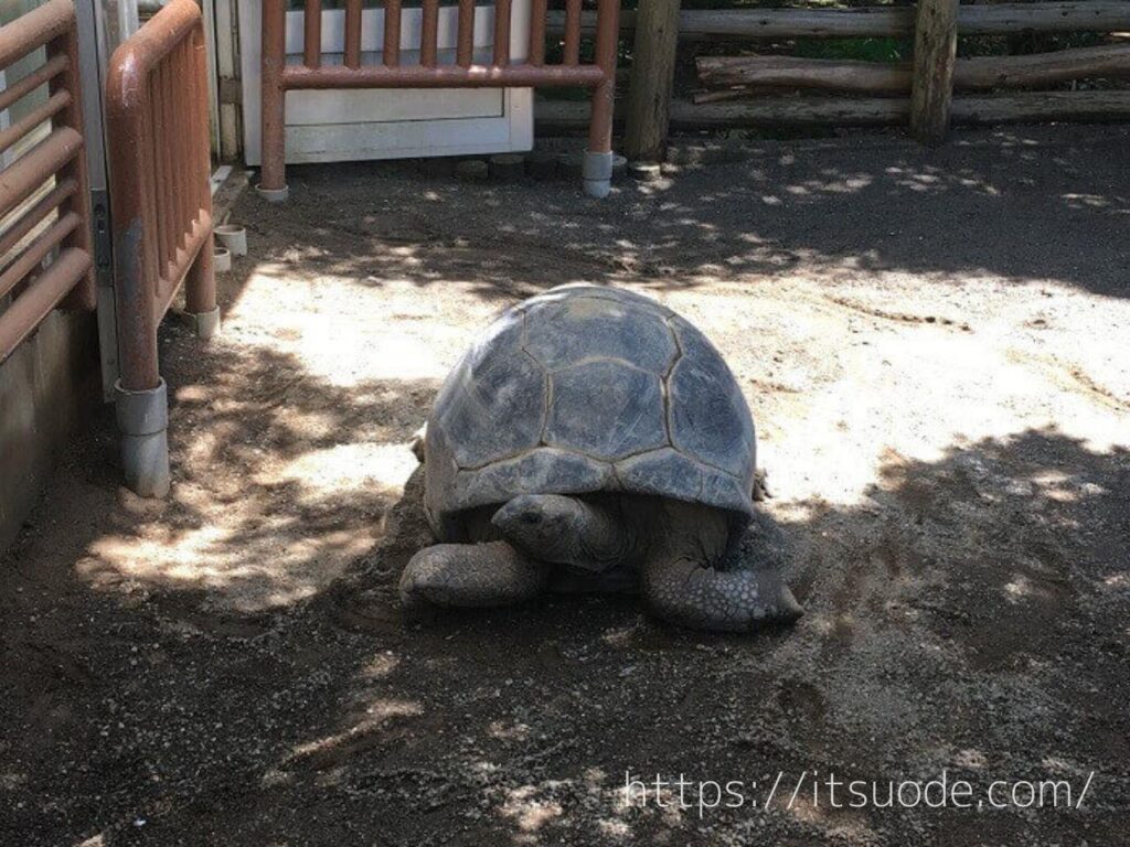 熱川バナナワニ園のブログ画像