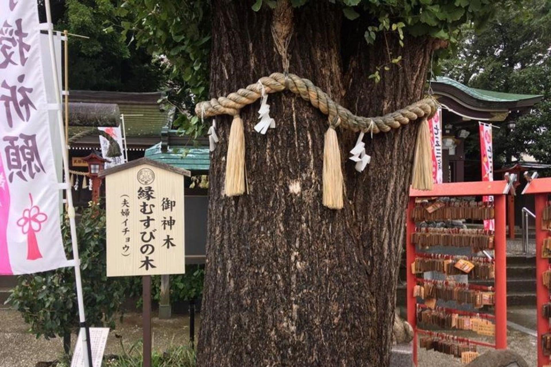 川越八幡宮