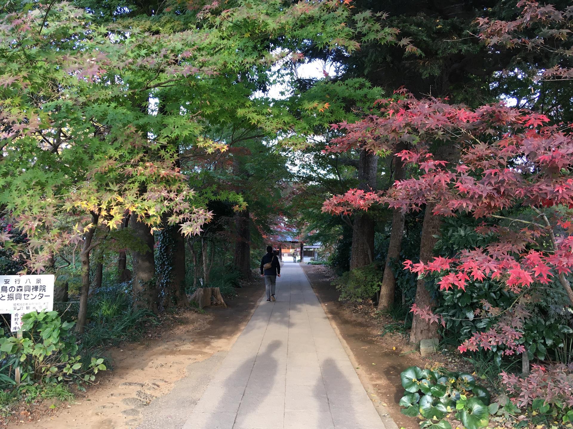 興禅院
