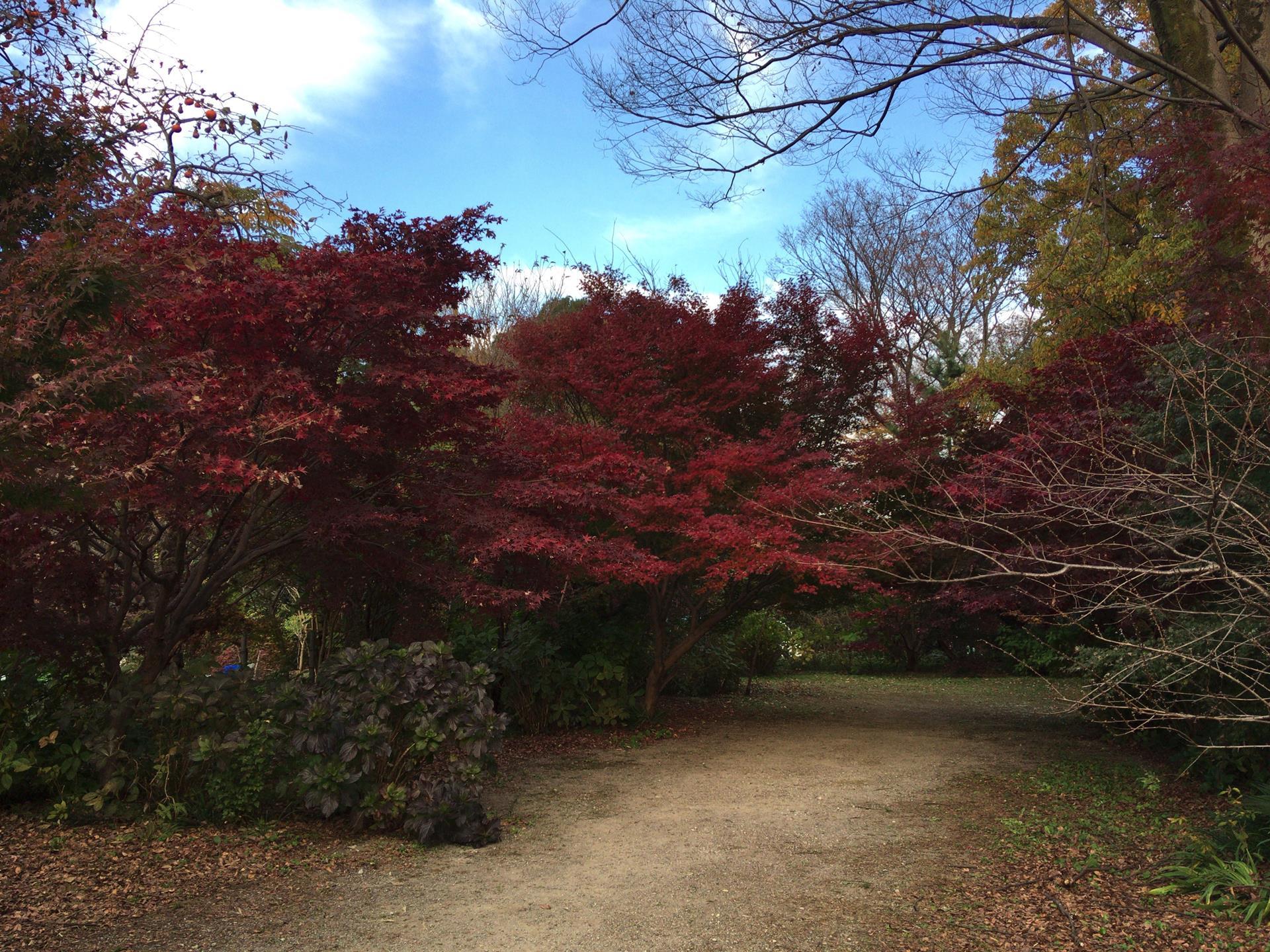 興禅院