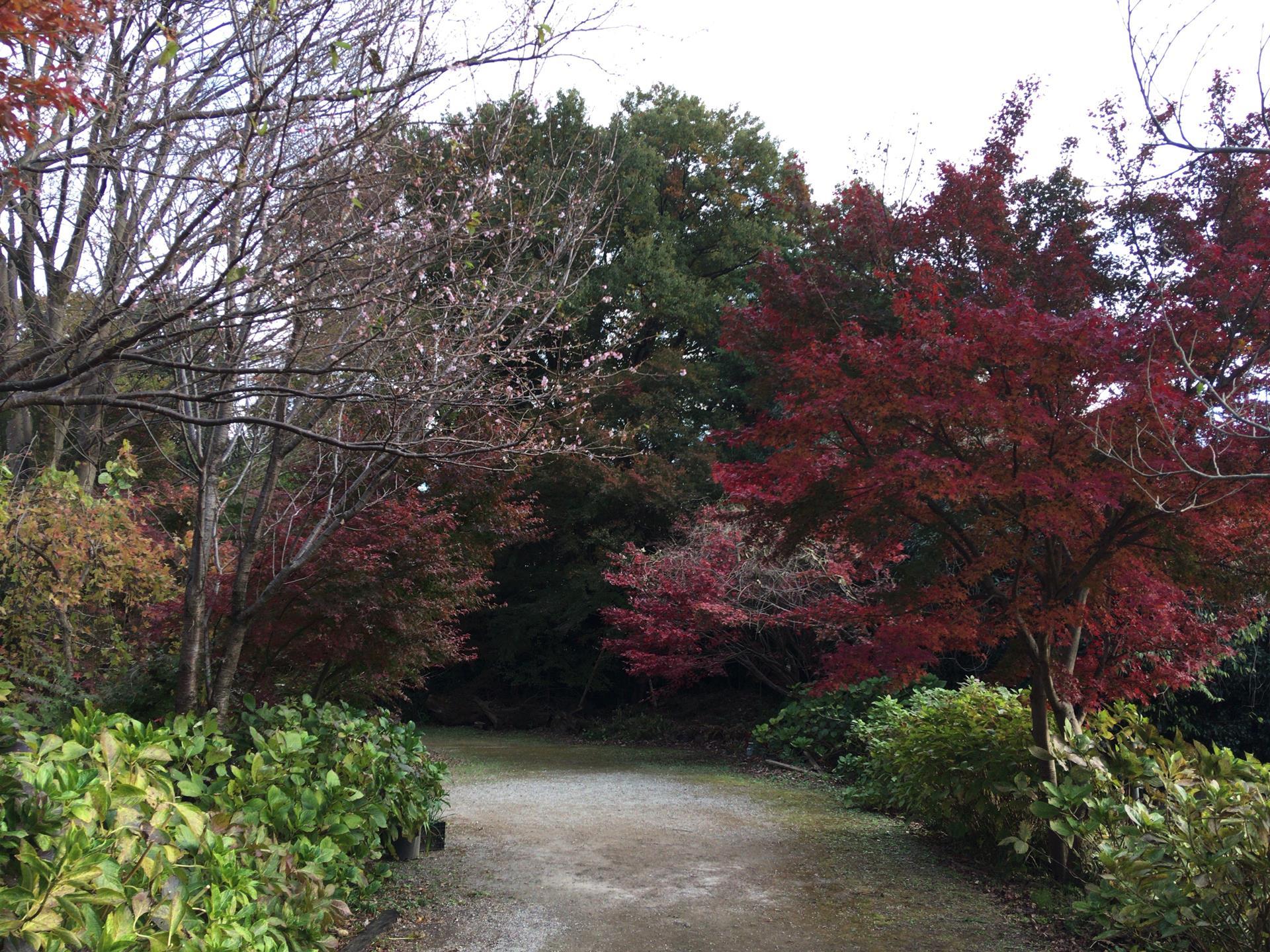 興禅院