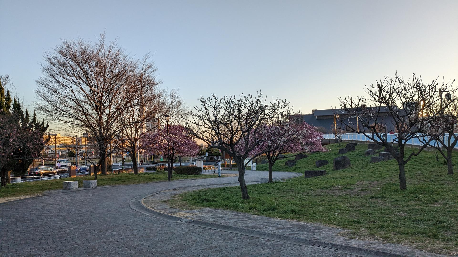 汐入公園