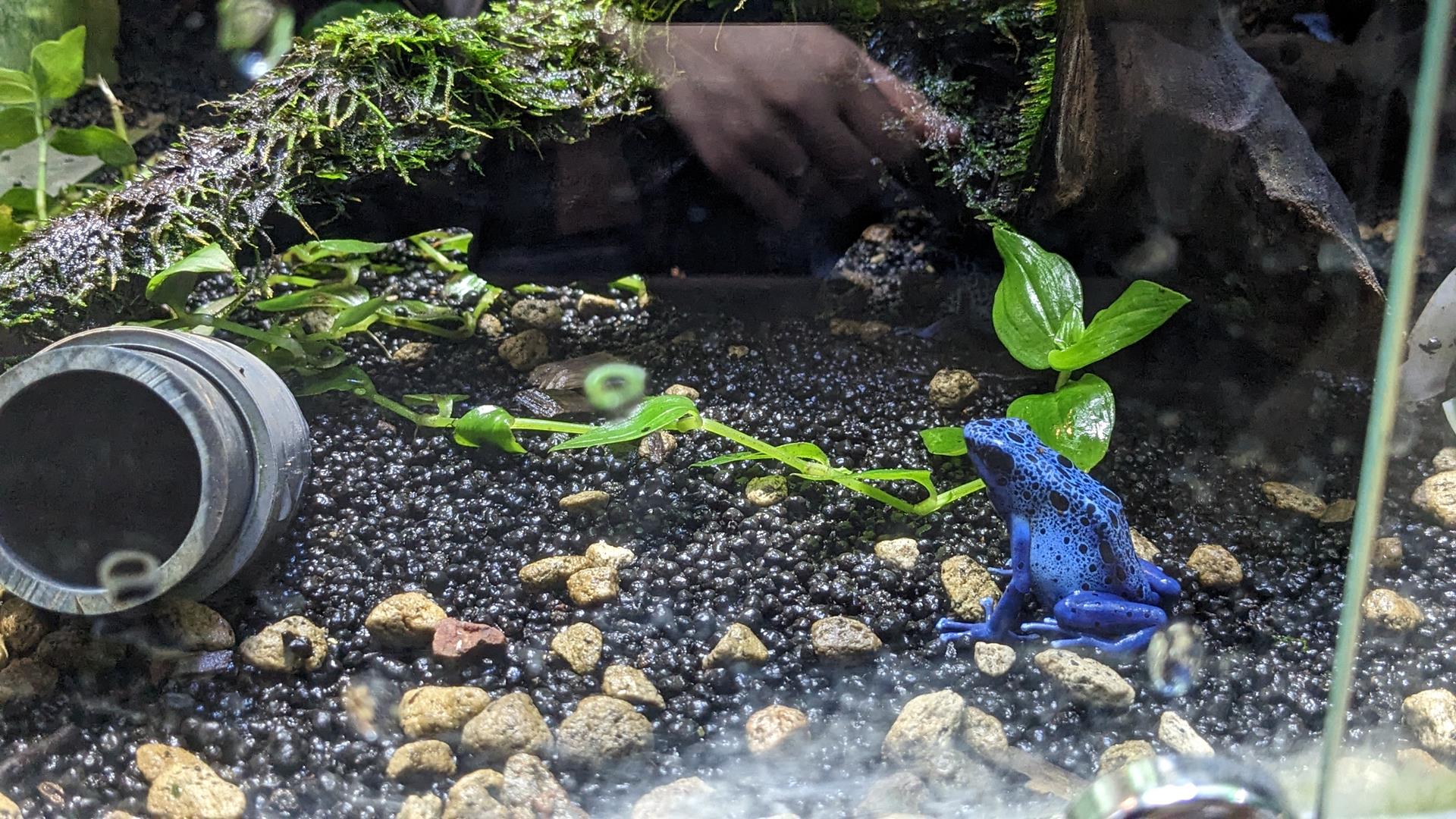 カワスイ 川崎水族館の「ナゾスイ(謎解き)」でのんびり大人デートをしてきた