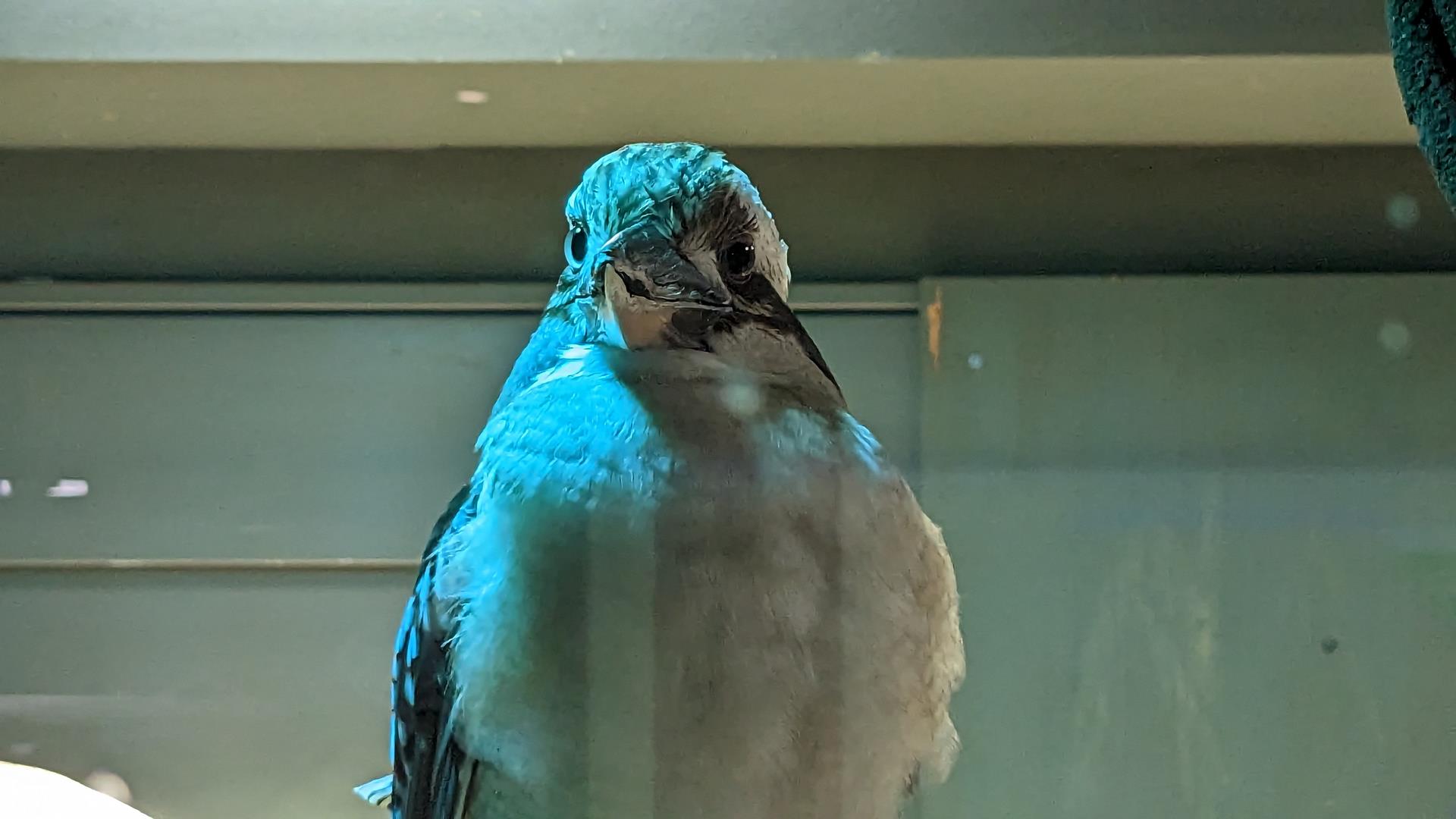 カワスイ 川崎水族館の「ナゾスイ(謎解き)」でのんびり大人デートをしてきた