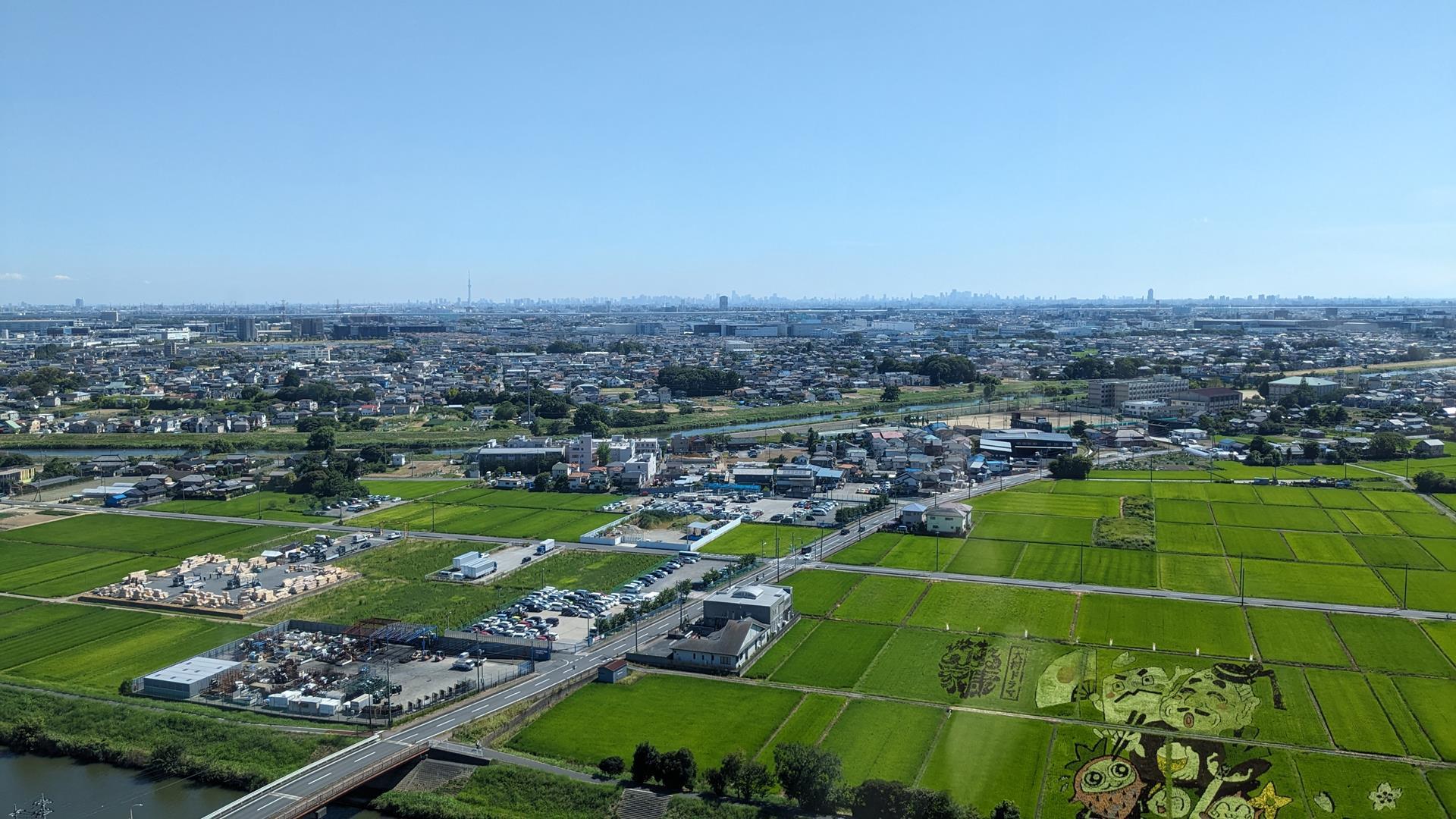 こしがや田んぼアート2023のブログ画像