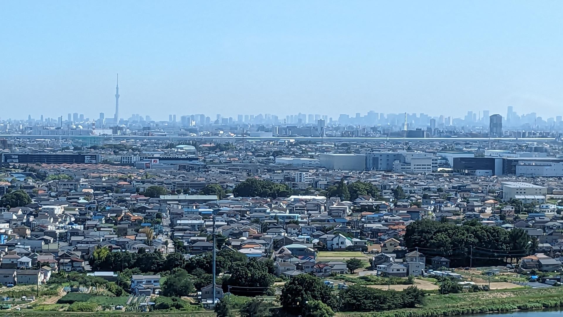 こしがや田んぼアート2023のブログ画像
