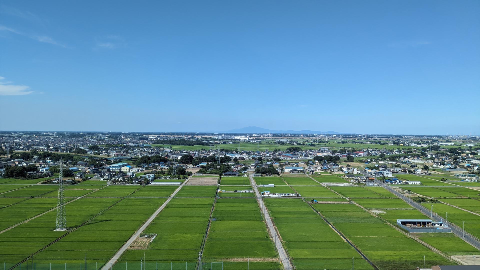 こしがや田んぼアート2023のブログ画像