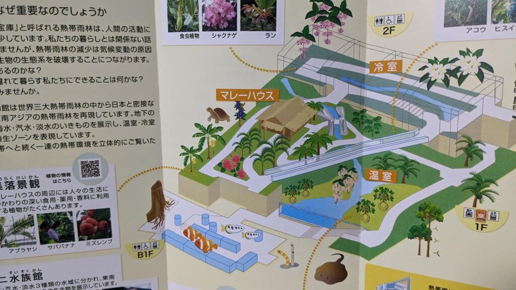 板橋区立熱帯環境植物館のブログ画像