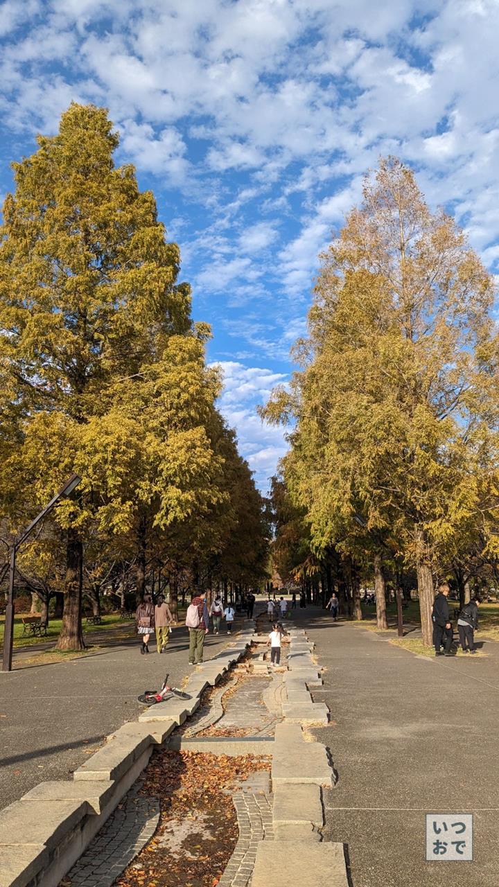 舎人公園の紅葉のブログ画像