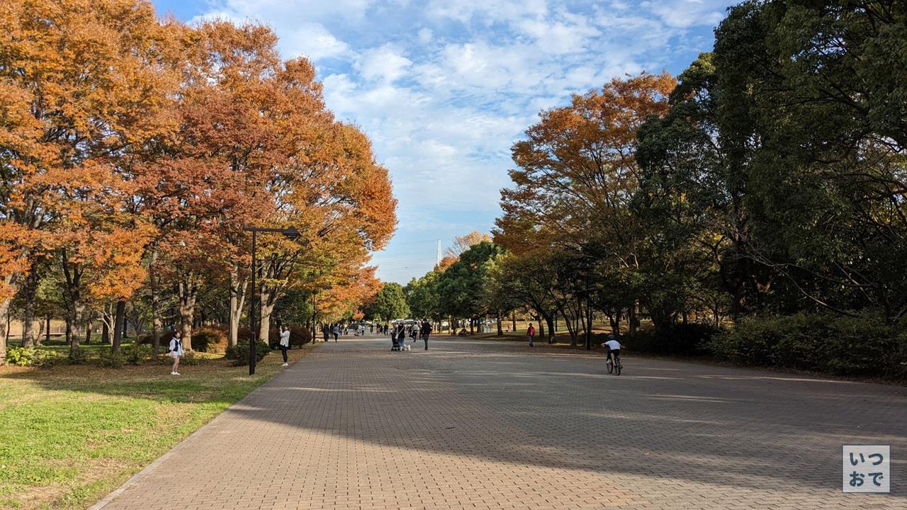 舎人公園の紅葉のブログ画像