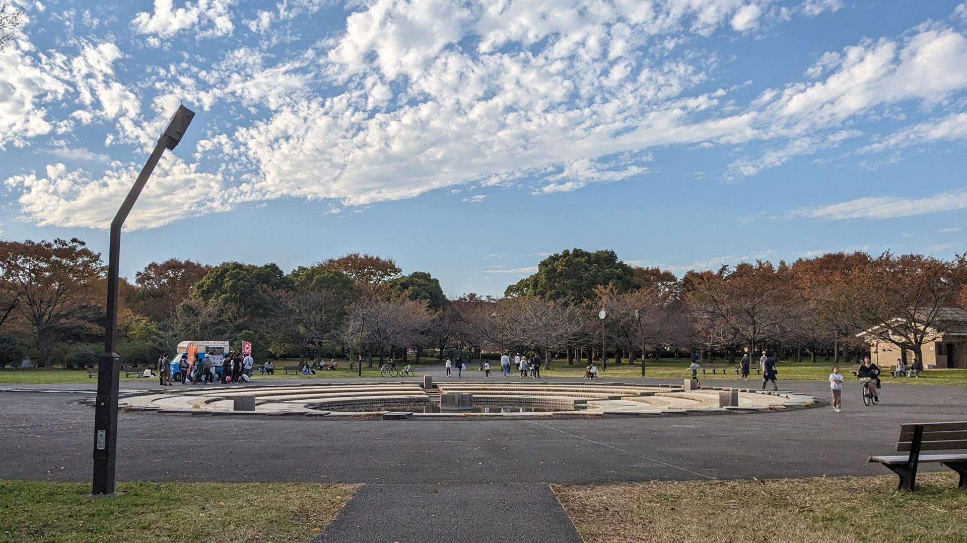 舎人公園の紅葉のブログ画像