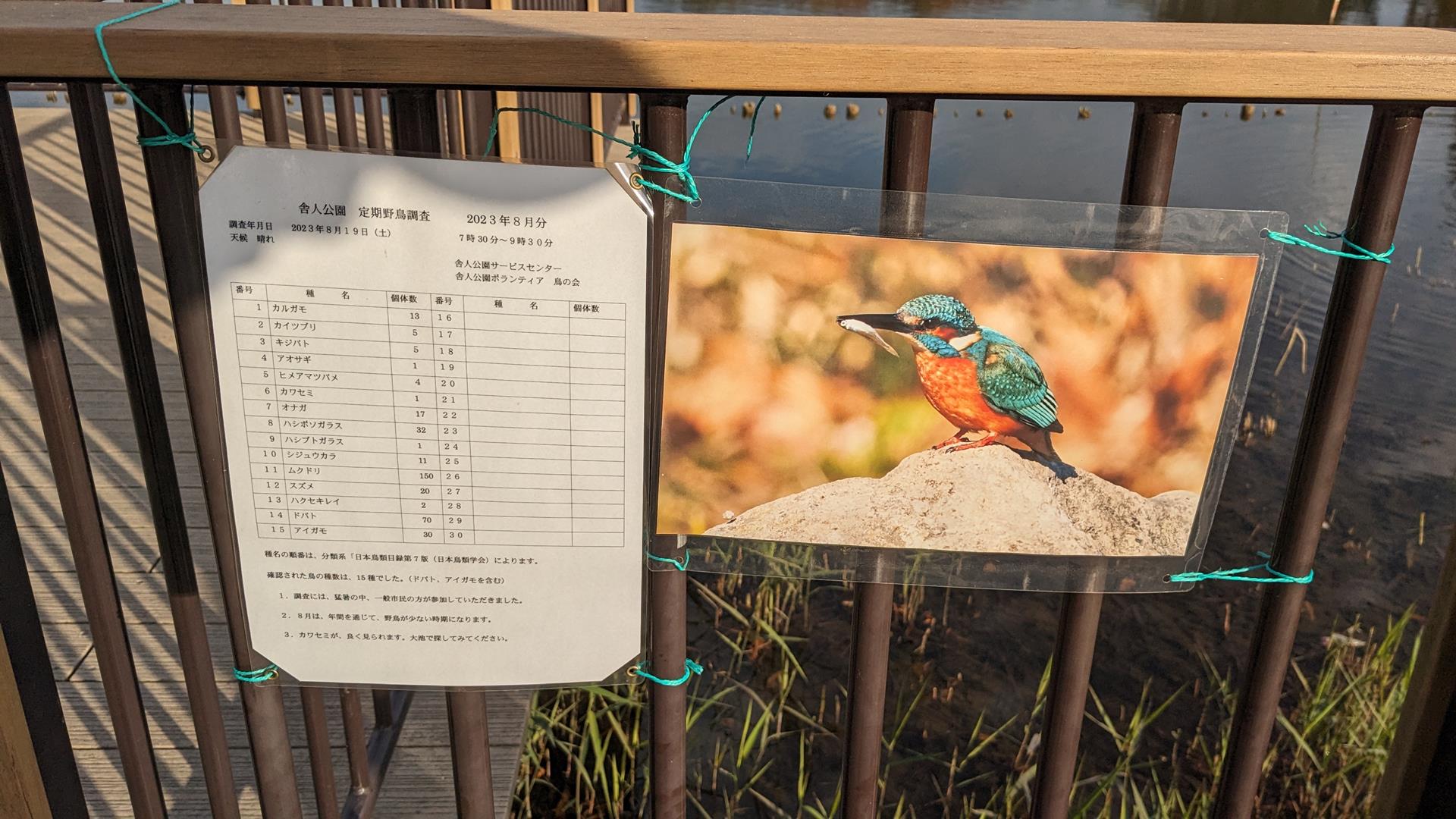 舎人公園の紅葉のブログ画像