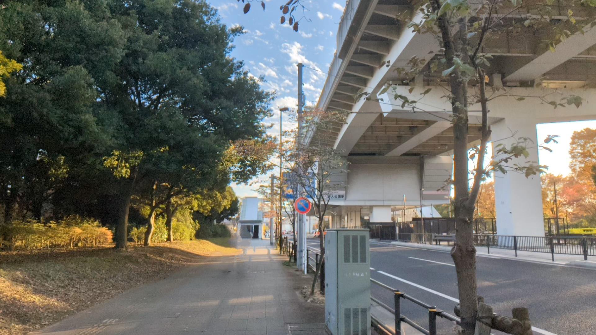 舎人公園の紅葉のブログ画像