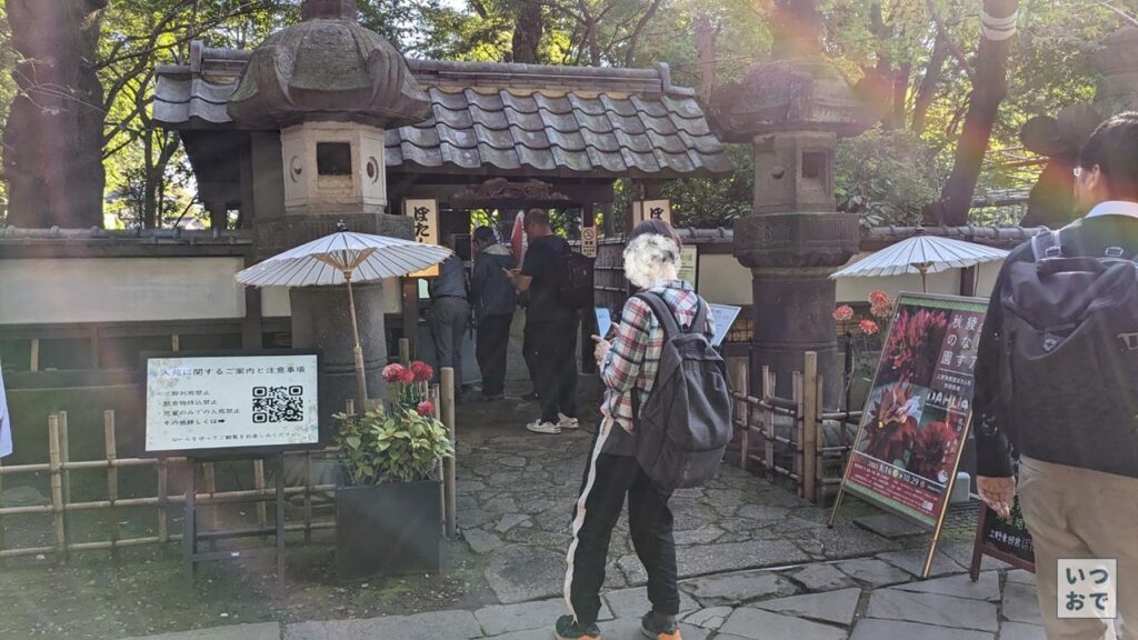 上野東照宮ぼたん苑のダリアのブログ画像