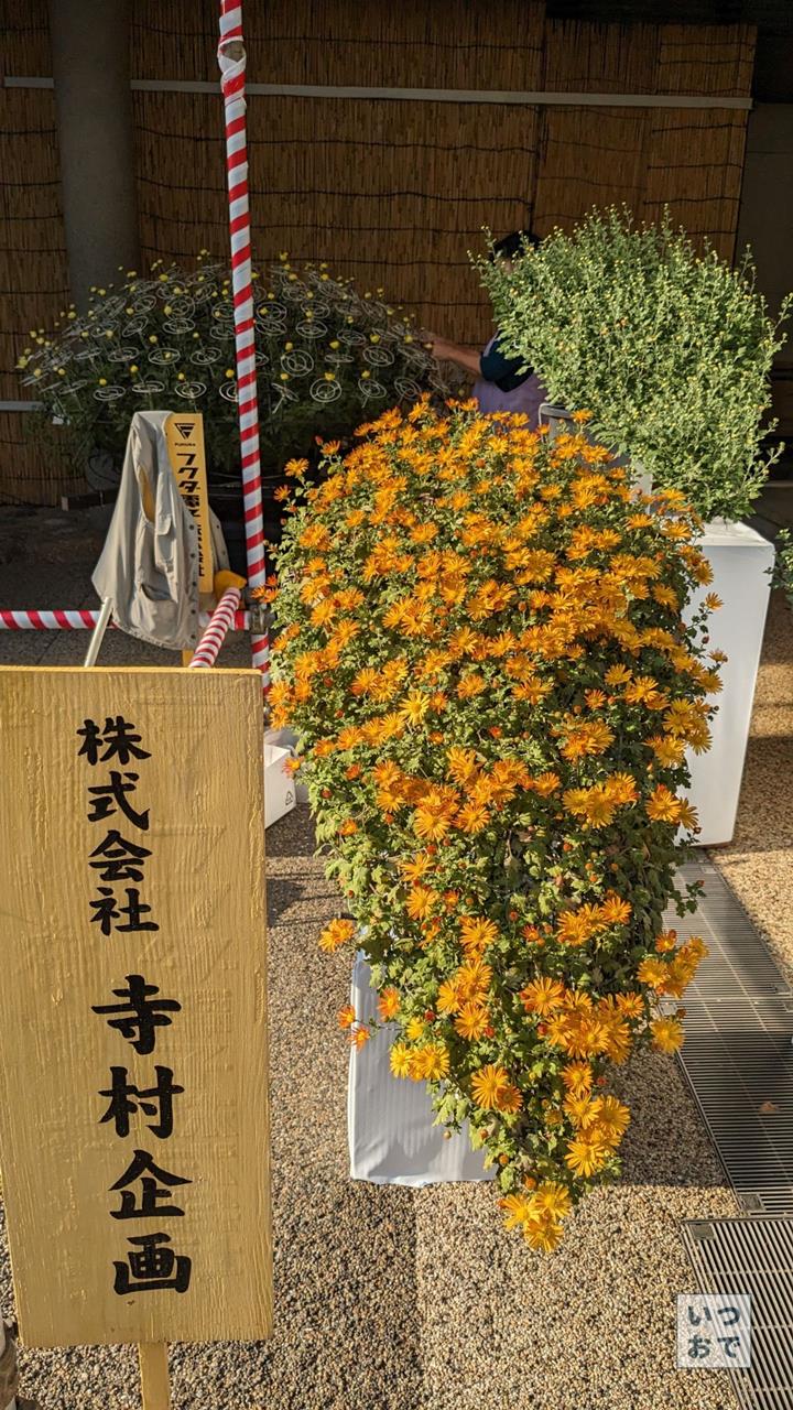 湯島天神菊まつりのブログ画像