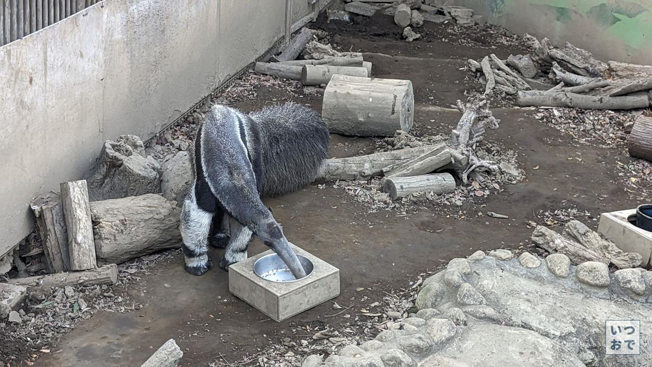 江戸川区自然動物園のブログ画像