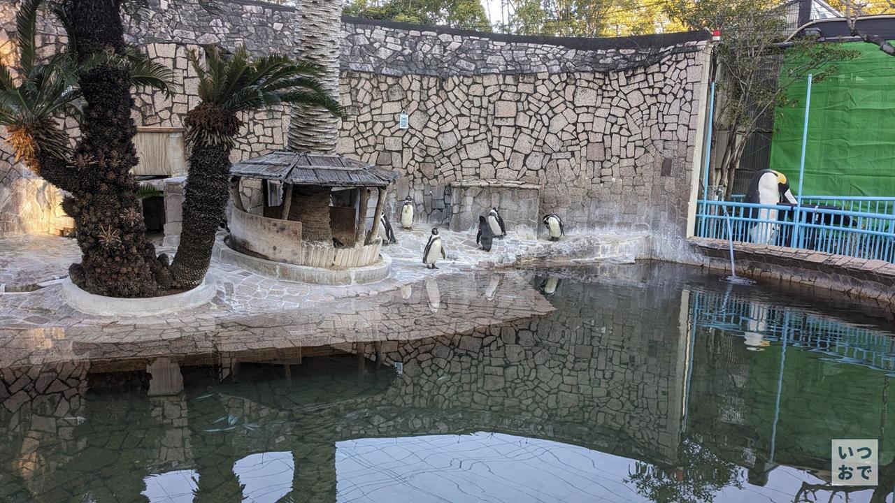 江戸川区自然動物園のブログ画像