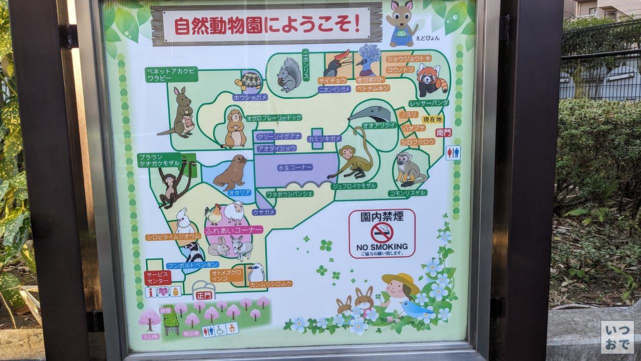 江戸川区自然動物園のブログ画像