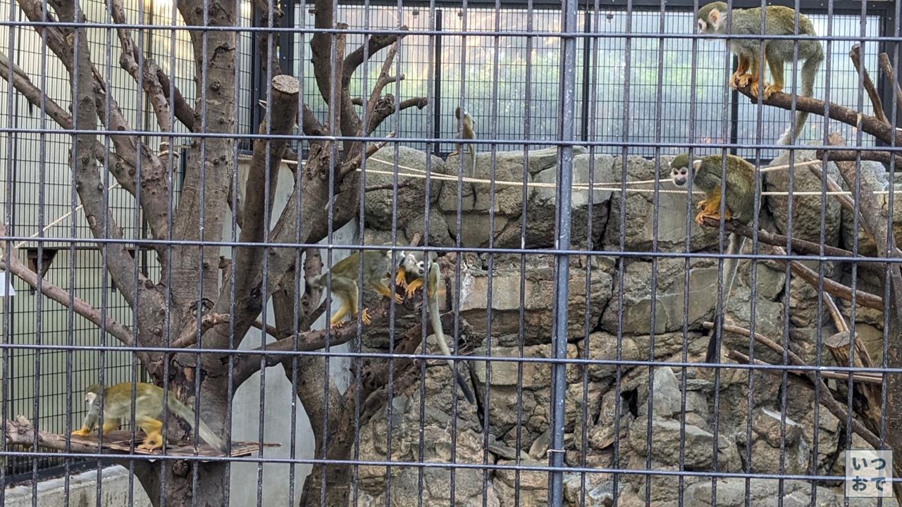 江戸川区自然動物園のブログ画像