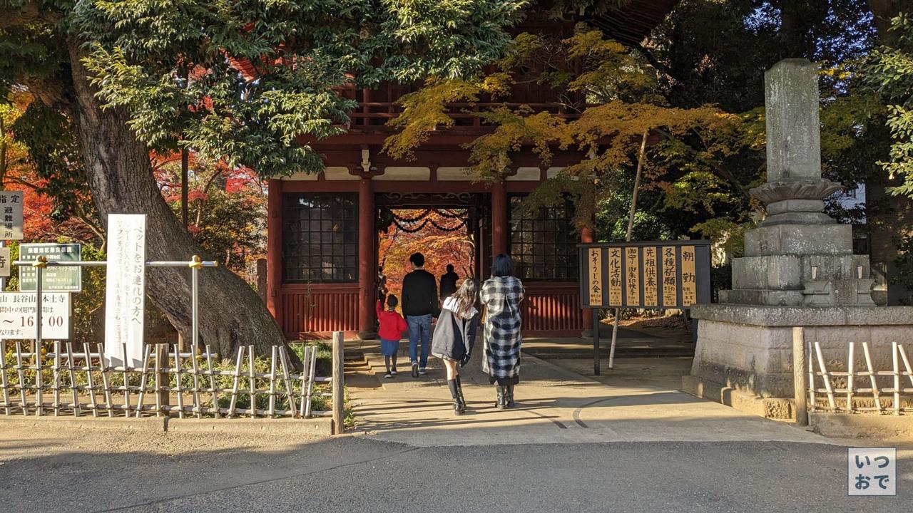 本土寺の紅葉のブログ画像