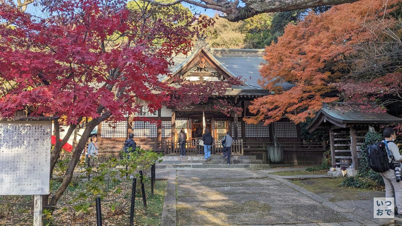 本土寺の紅葉のブログ画像