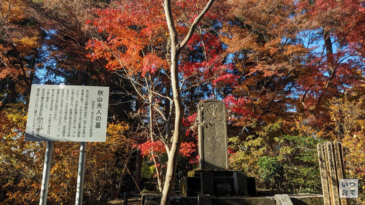 本土寺の紅葉のブログ画像