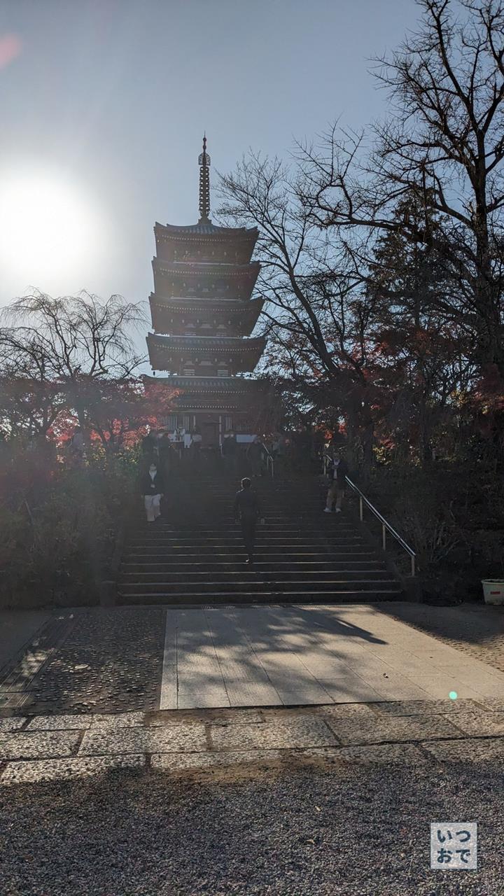 本土寺の紅葉のブログ画像