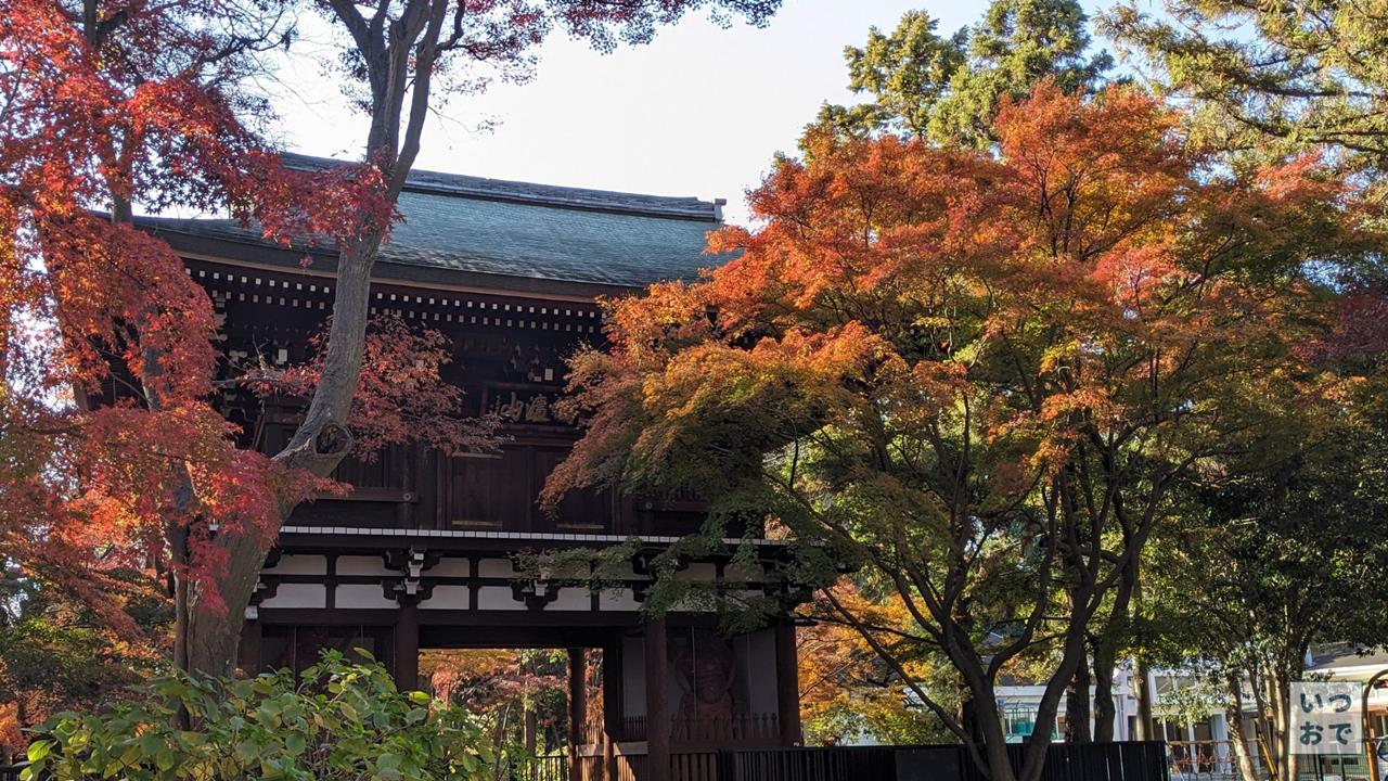 東漸寺の紅葉のブログ画像