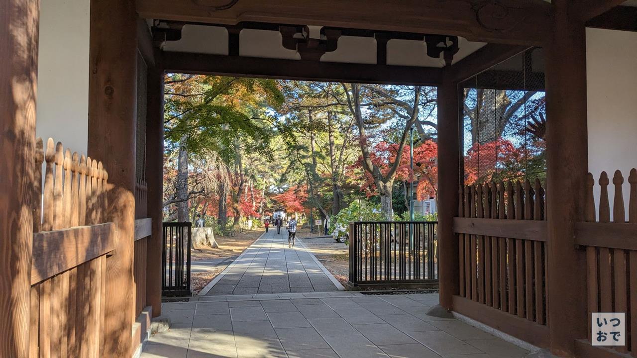 東漸寺の紅葉のブログ画像